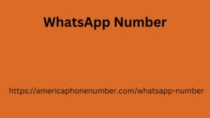 WhatsApp Number