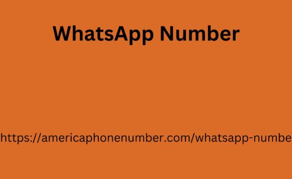 WhatsApp Number