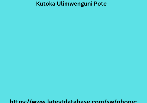 2024 Orodha ya Nambari za Simu Iliyosasishwa Kutoka Ulimwenguni Pote