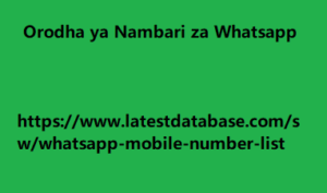 Orodha ya Nambari za Whatsapp