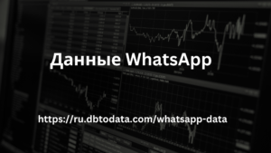 Данные WhatsApp